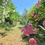 Aura Toscana Boutique Monsummano Terme