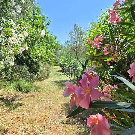 Aura Toscana Boutique Monsummano Terme