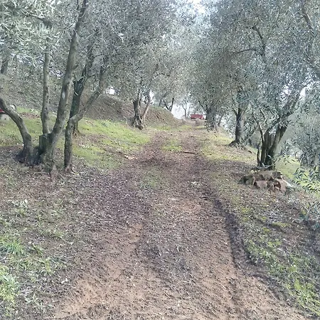 Aura Toscana Boutique Alloggio per agriturismo