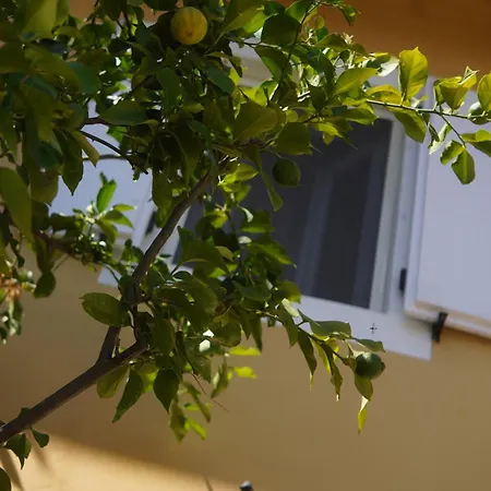 Aura Toscana Boutique Alloggio per agriturismo *