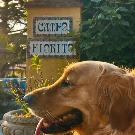 Aura Toscana Boutique Bauernhof *