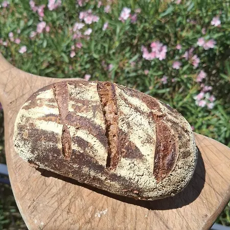 Bauernhof Aura Toscana Boutique *