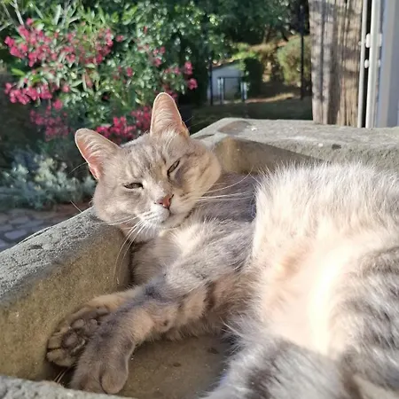 Aura Toscana Boutique Monsummano Terme