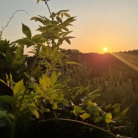 Aura Toscana Boutique * Monsummano Terme