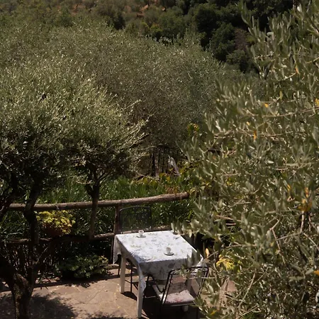 Aura Toscana Boutique Monsummano Terme