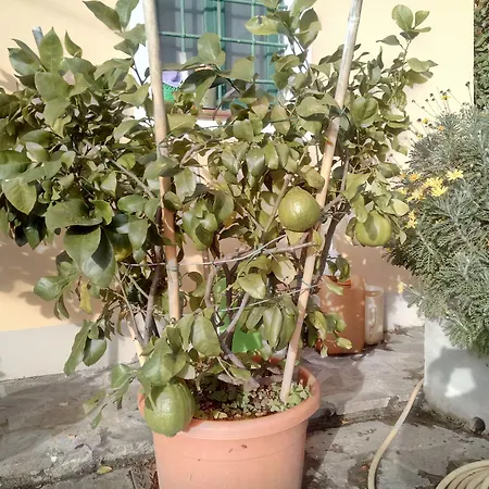 Aura Toscana Boutique * Monsummano Terme